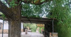 REF 25056- CHALET EN PARAJE LAS YENGUAS