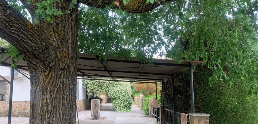 REF 25056- CHALET EN PARAJE LAS YENGUAS