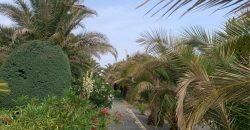 REF 25056- CHALET EN PARAJE LAS YENGUAS