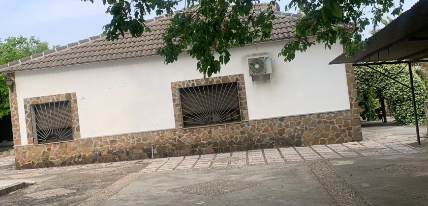 REF 25056- CHALET EN PARAJE LAS YENGUAS