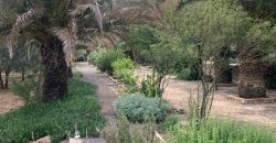 REF 25056- CHALET EN PARAJE LAS YENGUAS