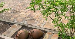 REF 25056- CHALET EN PARAJE LAS YENGUAS