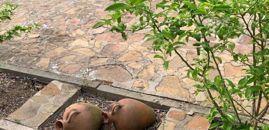 REF 25056- CHALET EN PARAJE LAS YENGUAS