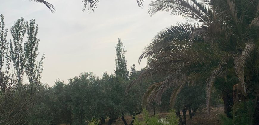 REF 25056- CHALET EN PARAJE LAS YENGUAS