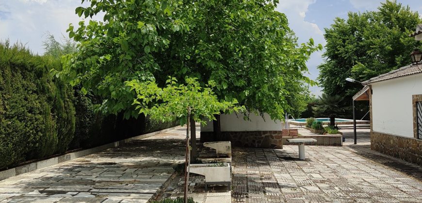 REF 25056- CHALET EN PARAJE LAS YENGUAS