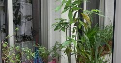 REF 25059- VIVIENDA CENTRICA DE TRES PLANTAS CON TERRAZA