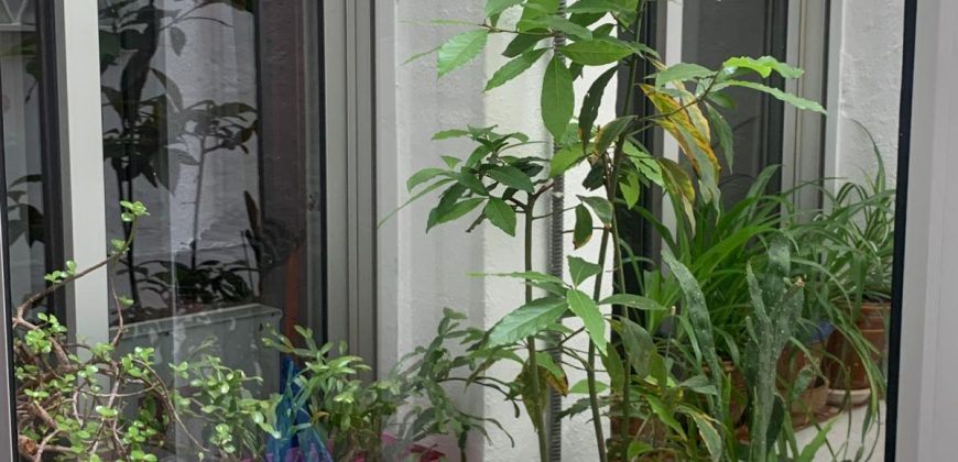 REF 25059- VIVIENDA CENTRICA DE TRES PLANTAS CON TERRAZA