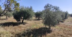 REF 23073- CASA DE CAMPO – LA VIÑUELA