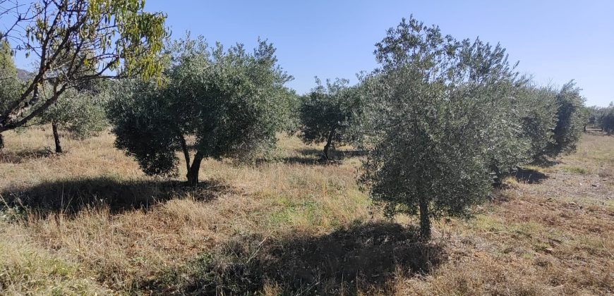 REF 23073- CASA DE CAMPO – LA VIÑUELA