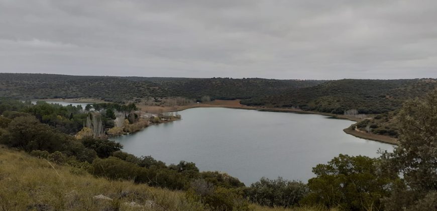 EXCELENTE FINCA DE CAZA BIEN COMUNICADA EN PROXIMIDAD ALMODOVAR