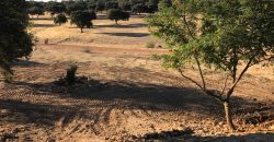 EXCELENTE FINCA DE CAZA BIEN COMUNICADA EN PROXIMIDAD ALMODOVAR