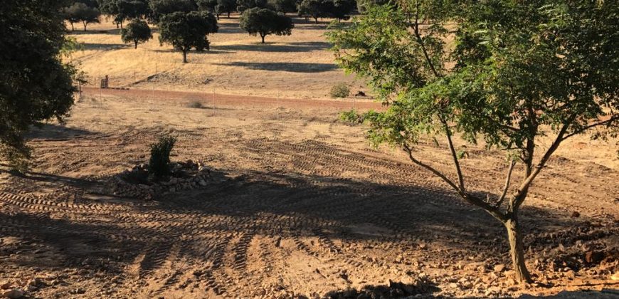 EXCELENTE FINCA DE CAZA BIEN COMUNICADA EN PROXIMIDAD ALMODOVAR