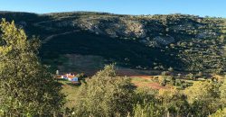 EXCELENTE FINCA DE CAZA BIEN COMUNICADA EN PROXIMIDAD ALMODOVAR