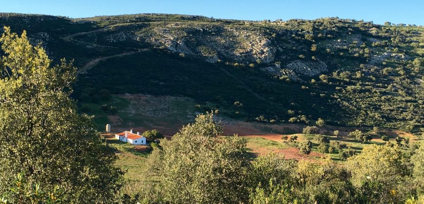 EXCELENTE FINCA DE CAZA BIEN COMUNICADA EN PROXIMIDAD ALMODOVAR