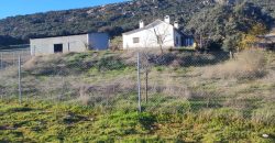 EXCELENTE FINCA DE CAZA BIEN COMUNICADA EN PROXIMIDAD ALMODOVAR