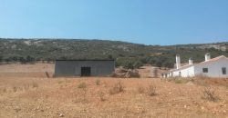 EXCELENTE FINCA DE CAZA BIEN COMUNICADA EN PROXIMIDAD ALMODOVAR