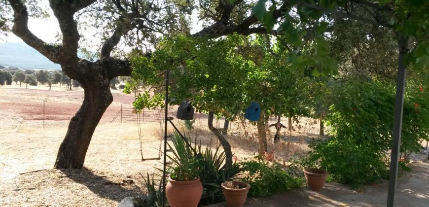 EXCELENTE FINCA DE CAZA BIEN COMUNICADA EN PROXIMIDAD ALMODOVAR