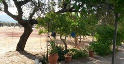 EXCELENTE FINCA DE CAZA BIEN COMUNICADA EN PROXIMIDAD ALMODOVAR