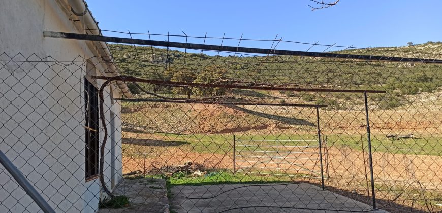 EXCELENTE FINCA DE CAZA BIEN COMUNICADA EN PROXIMIDAD ALMODOVAR