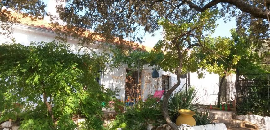 EXCELENTE FINCA DE CAZA BIEN COMUNICADA EN PROXIMIDAD ALMODOVAR