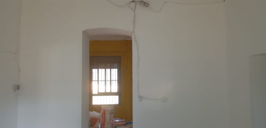 EXCELENTE FINCA DE CAZA BIEN COMUNICADA EN PROXIMIDAD ALMODOVAR