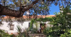 EXCELENTE FINCA DE CAZA BIEN COMUNICADA EN PROXIMIDAD ALMODOVAR