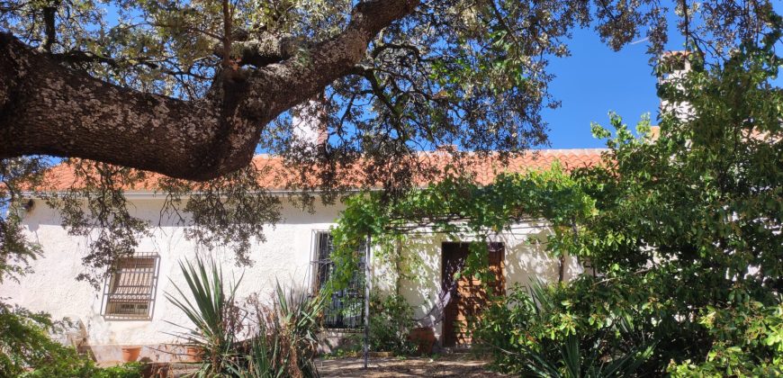 EXCELENTE FINCA DE CAZA BIEN COMUNICADA EN PROXIMIDAD ALMODOVAR