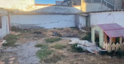 REF 25102- ESPACIOSA CASA DE PLANTA ÚNICA