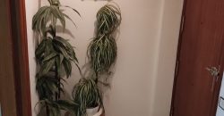 REF 25111-COQUETO PISO CON ASCENSOR