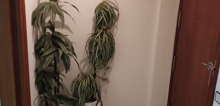 REF 25111-COQUETO PISO CON ASCENSOR