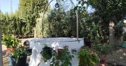 REF 23114- CHALET en ALMODOVAR del CAMPO