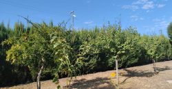 REF 23114- CHALET en ALMODOVAR del CAMPO