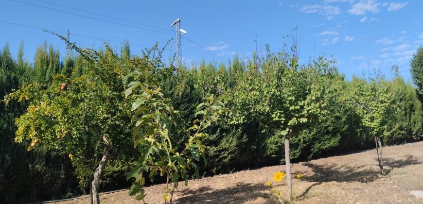 REF 23114- CHALET en ALMODOVAR del CAMPO