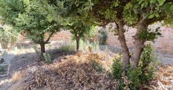 REF 25116 – MARAVILLOSA CASA DE PUEBLO