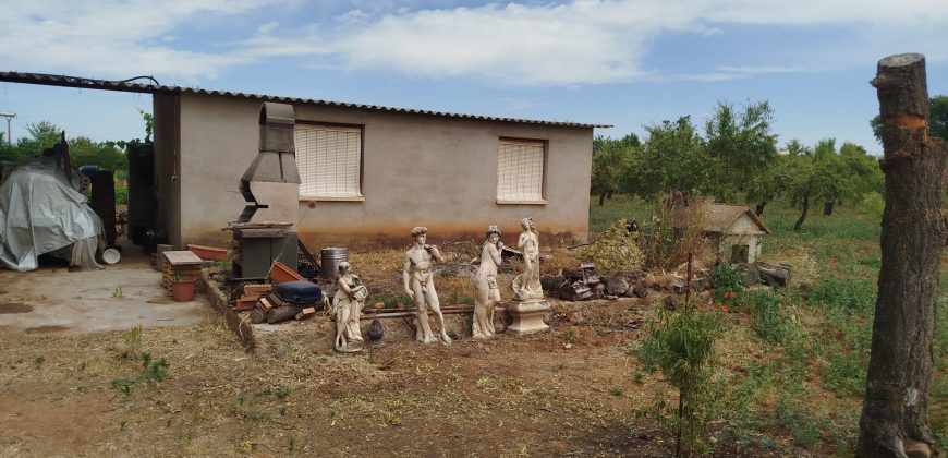 CHALET CAMINO ALDEA DEL REY