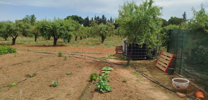 CHALET CAMINO ALDEA DEL REY