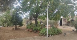 CHALET en VENTA: Vive al ritmo del campo, con todas las comodidades de hoy