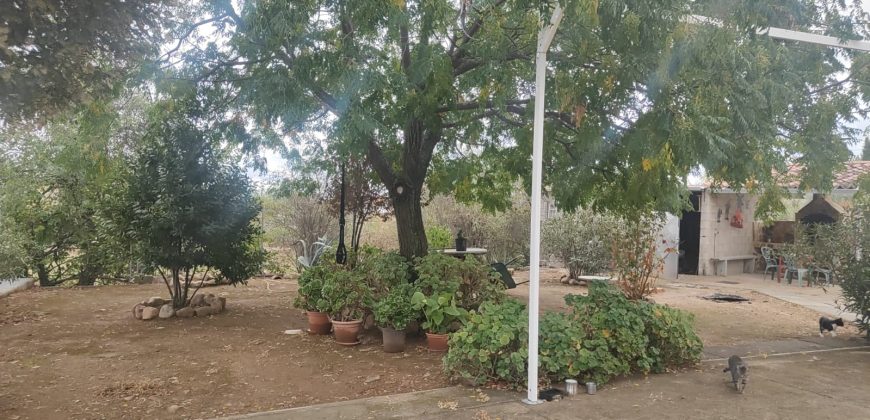 CHALET en VENTA: Vive al ritmo del campo, con todas las comodidades de hoy