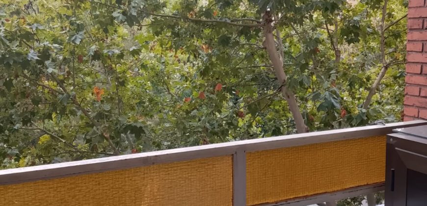 REF 25129 – AMPLIO PISO EN PASEO SAN GREGORIO