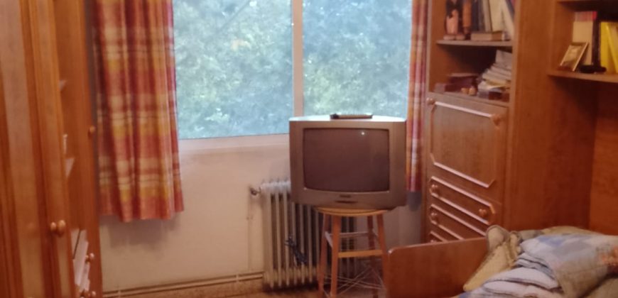 REF 25129 – AMPLIO PISO EN PASEO SAN GREGORIO