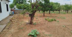 REF 24090 – CHALET CAMINO ALDEA DEL REY