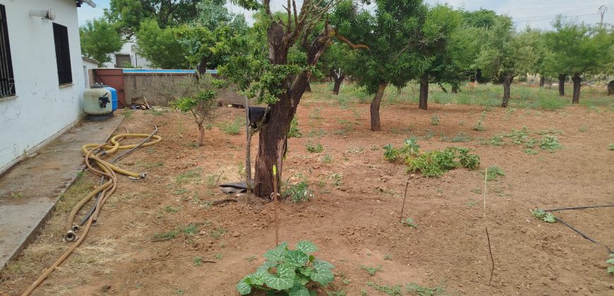 REF 24090 – CHALET CAMINO ALDEA DEL REY